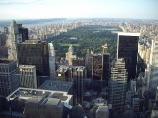 newyorktopoftherock.jpg