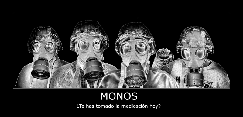 monomudos38
