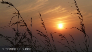 atardecer en Africa