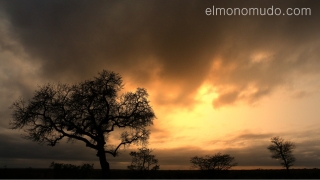 atardecer en Africa