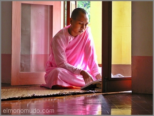 Monja Myanmar estudiando         