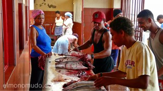 Mercado de pescado. Mindelo. Cabo Verde