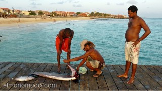 Limpiando un pez espada. Muelle de Sta. Maria. Sal. Cabo Verde
