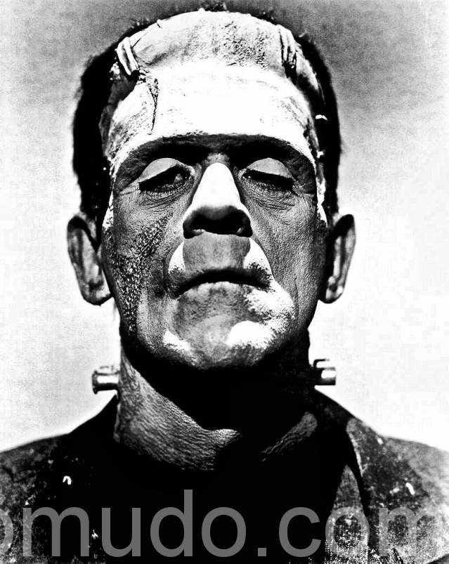 frankenstein_2010 frankenstein_2010