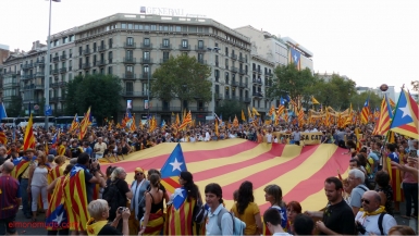 diada nacional catalunya. barcelona 11.09.2012 . manifestacion por la independencia . estelada