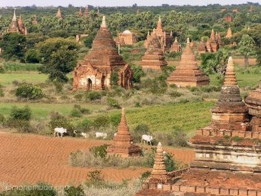 templos en bagan. myanmar. birmania