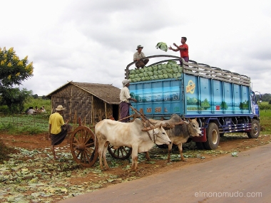 transporte hortalizas. campesinos. myanmar. birmania