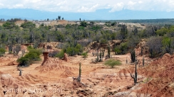 desierto de la tatacoa. colombia